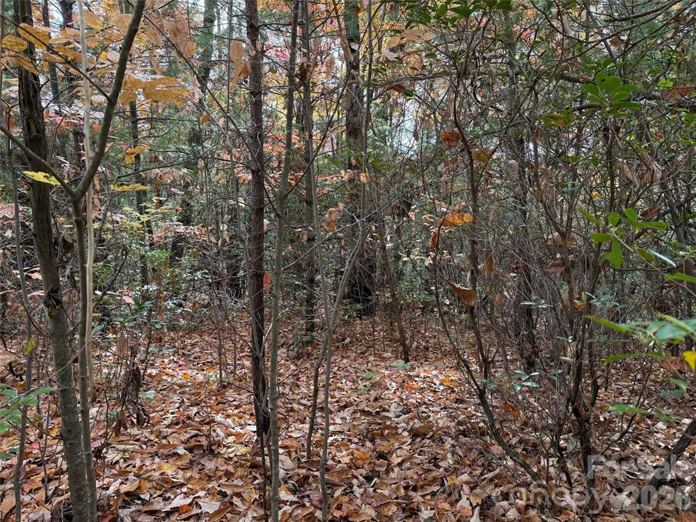 TBD Casey Mountain Road #209 Purlear, NC 28665