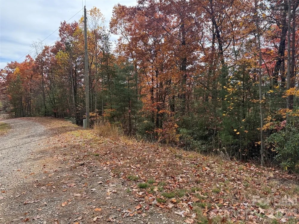 TBD Casey Mountain Road #209 Purlear, NC 28665