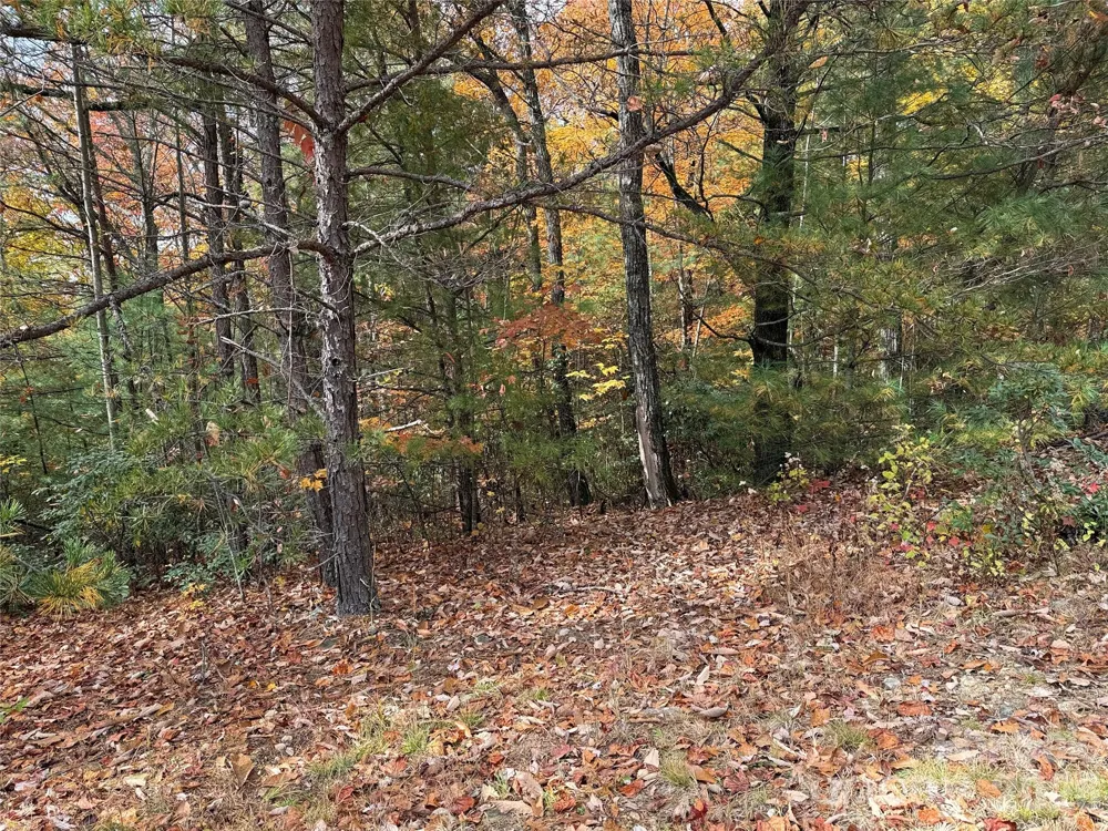 TBD Casey Mountain Road #209 Purlear, NC 28665