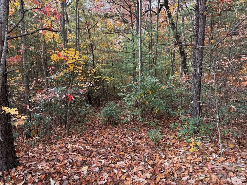TBD Casey Mountain Road #209 Purlear, NC 28665