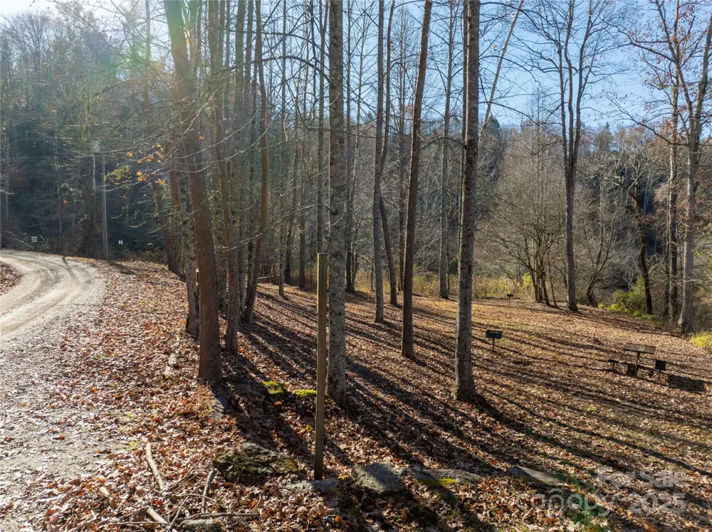 85 Brown Lane Marble, NC 28905