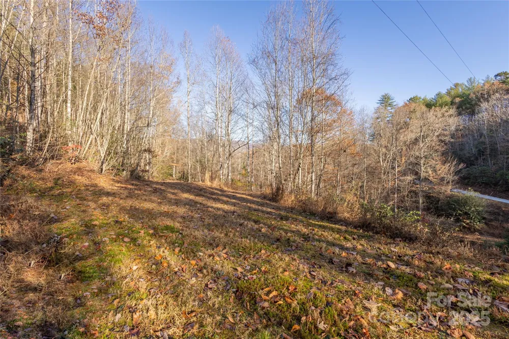 85 Brown Lane Marble, NC 28905