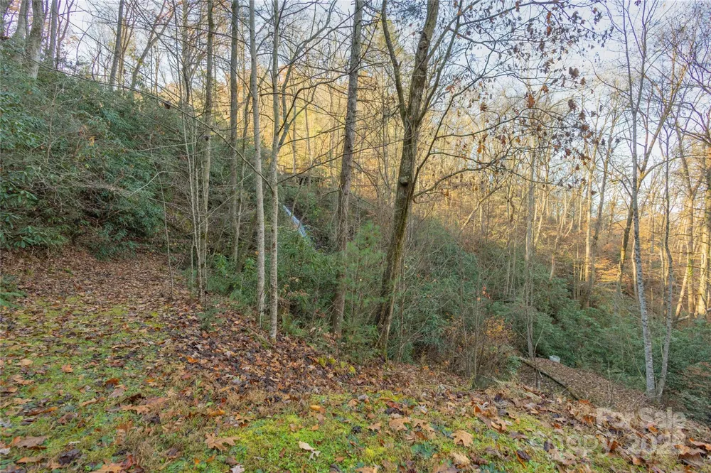 85 Brown Lane Marble, NC 28905
