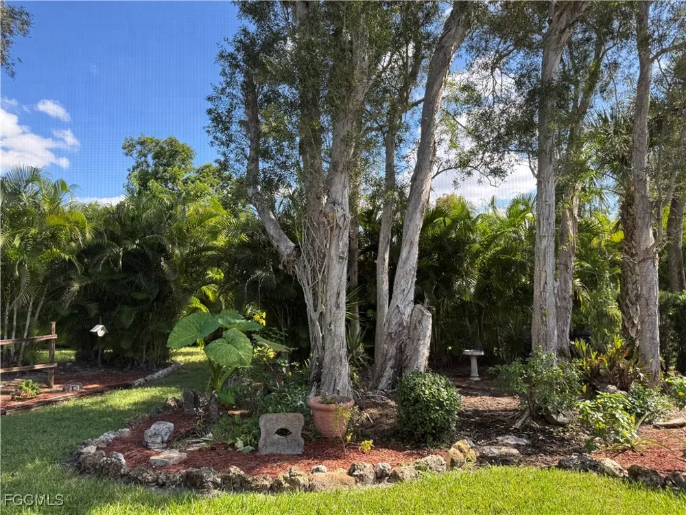 Tall Pine Circle Fort Myers, FL 33907
