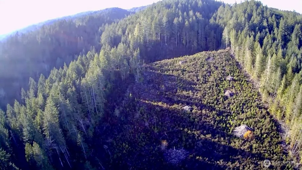 0 US Highway 101 Shelton, WA 98584