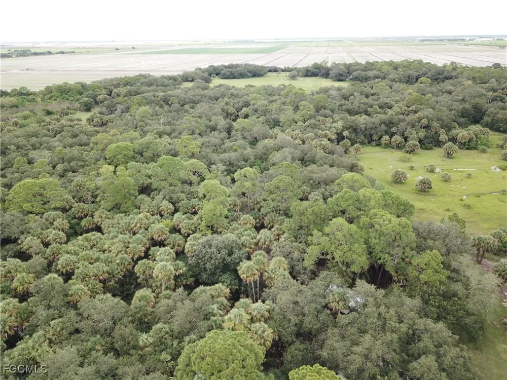 Cr-833 Clewiston, FL 33440