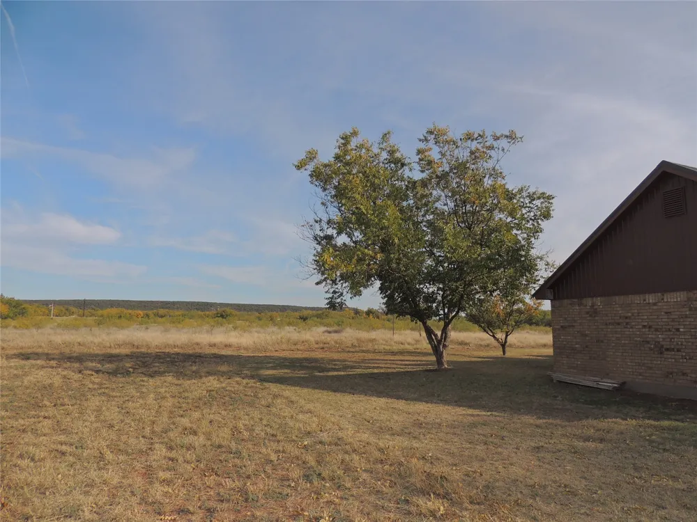 150 CR 676 Tuscola, TX 79562