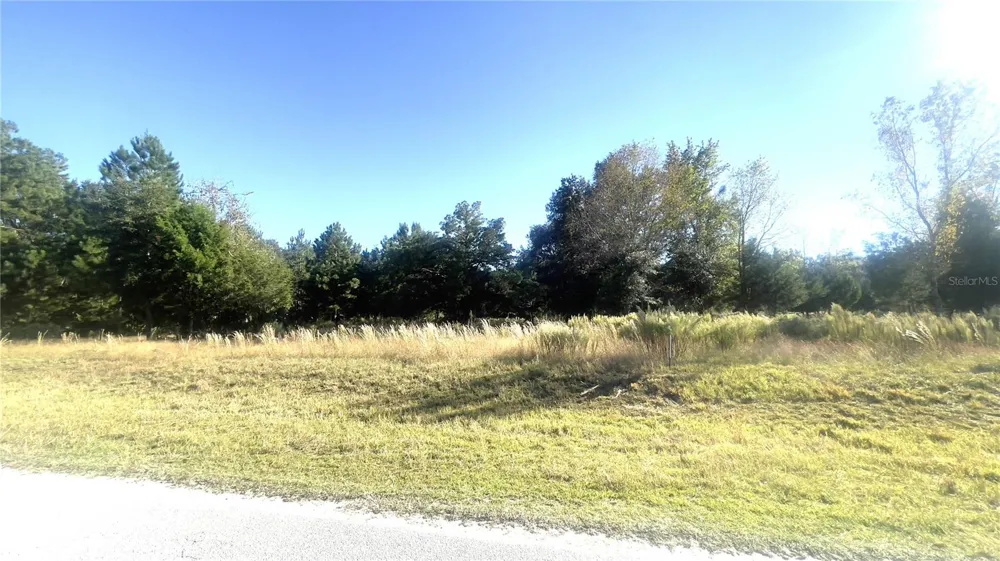Lot 46 NW 73RD STREET Chiefland, FL 32626