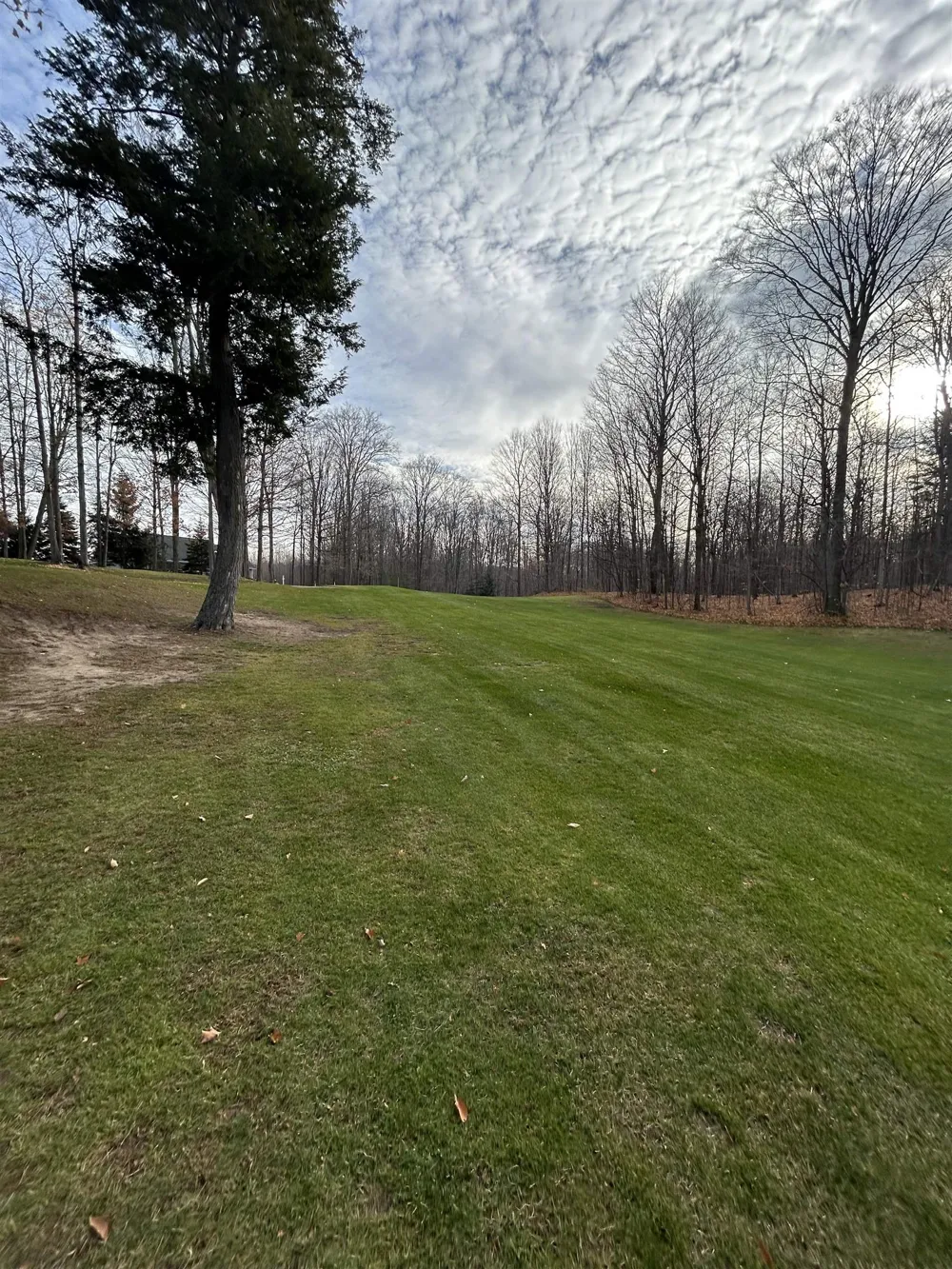 White Tail Drive Kearney Township, MI 49615
