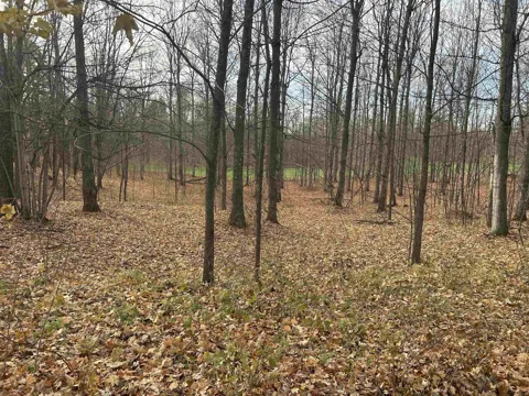 White Tail Drive