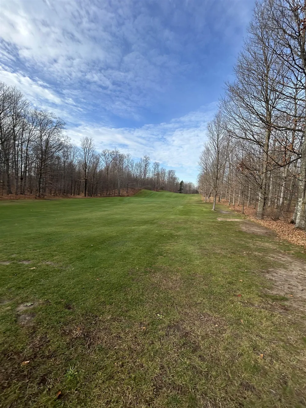 White Tail Drive Kearney Township, MI 49615