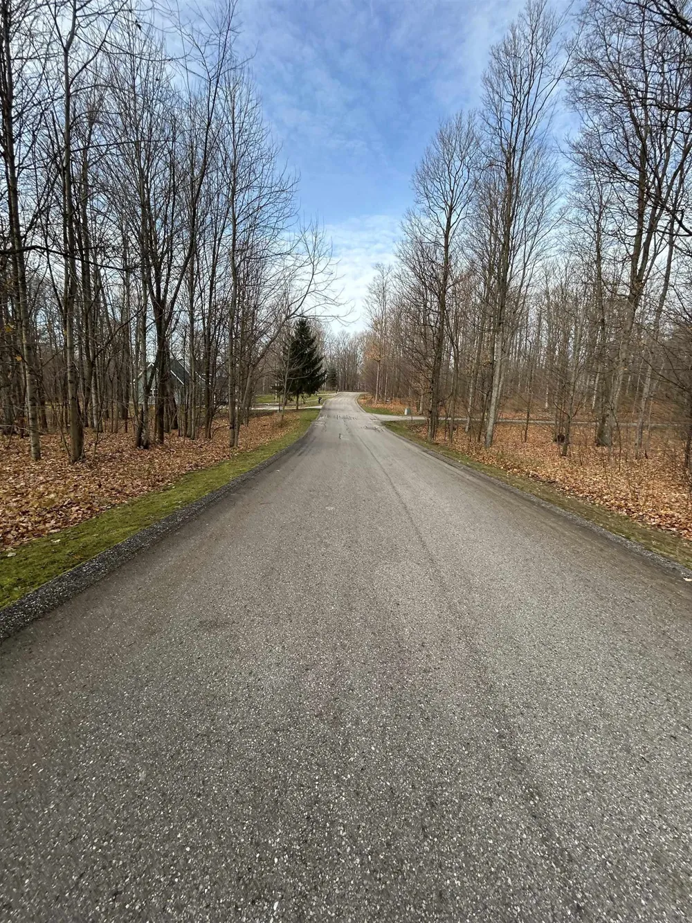 White Tail Drive Kearney Township, MI 49615