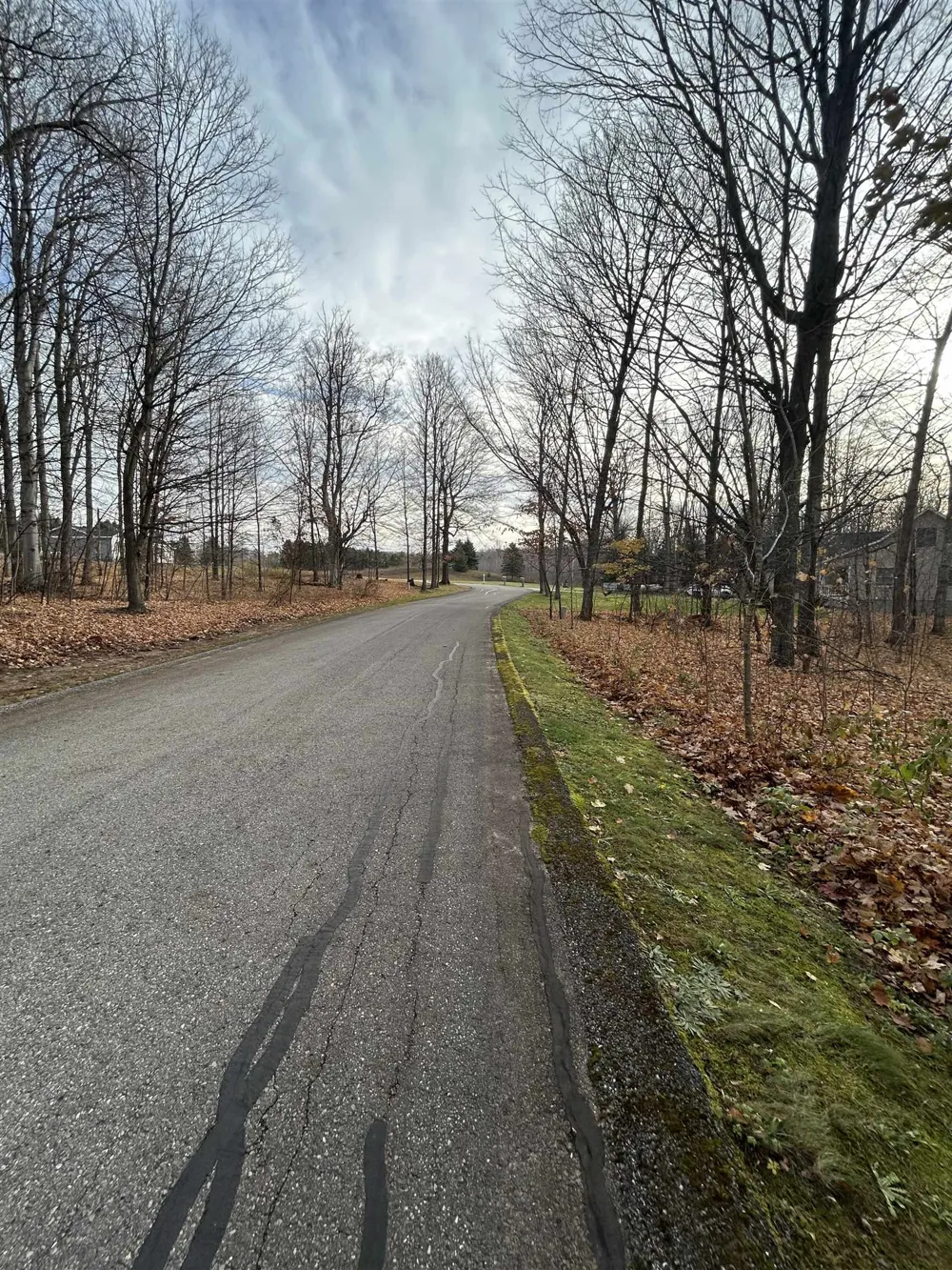 White Tail Drive Kearney Township, MI 49615