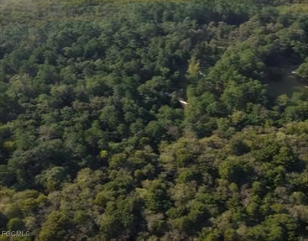 TBD Alford, FL 32420