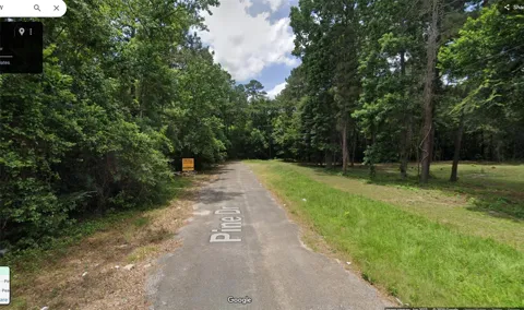Pine Drive