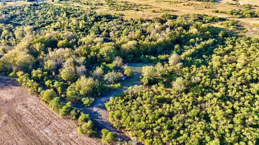 Pilcik Road East Bernard, TX 77435