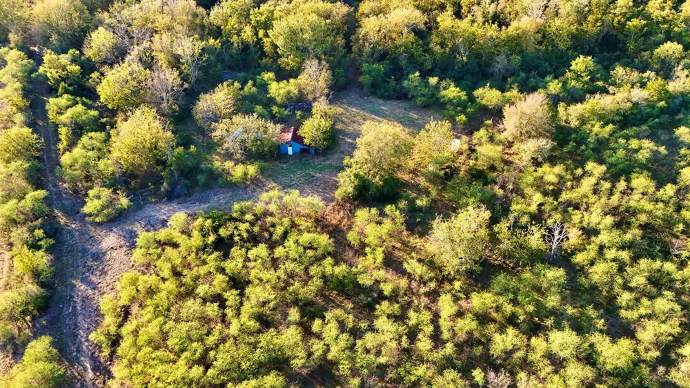 Pilcik Road East Bernard, TX 77435