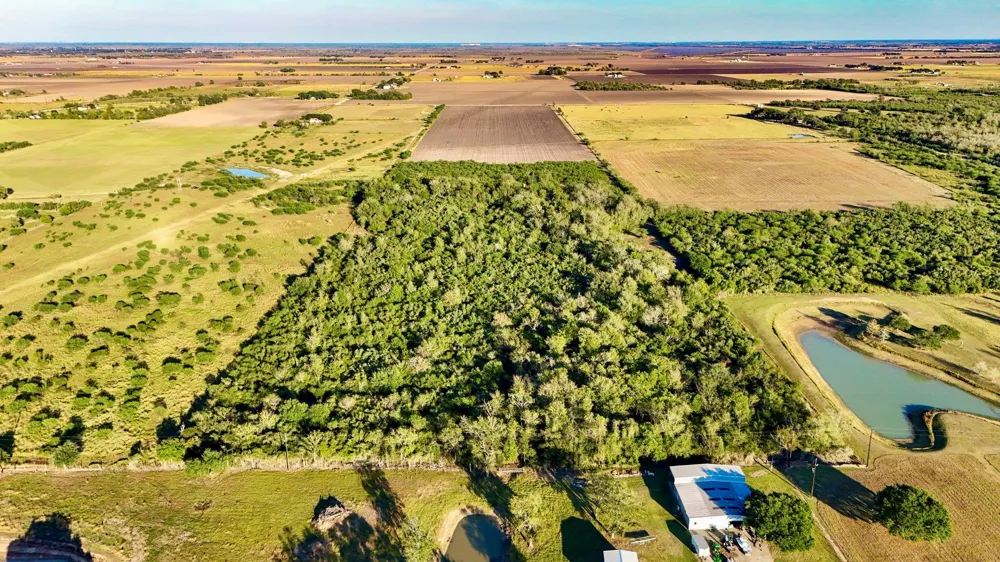 Pilcik Road East Bernard, TX 77435