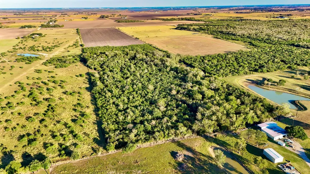 Pilcik Road East Bernard, TX 77435