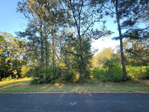 Hackberry Drive