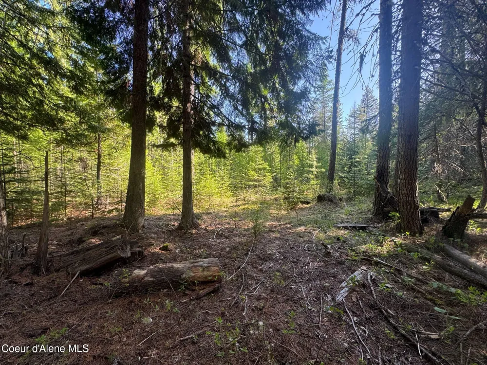 NNA Backroads Way Lot 3 Priest River, ID 83856