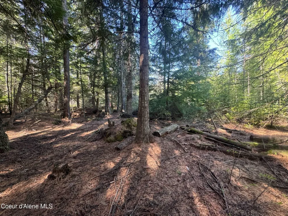 NNA Backroads Way Lot 3 Priest River, ID 83856