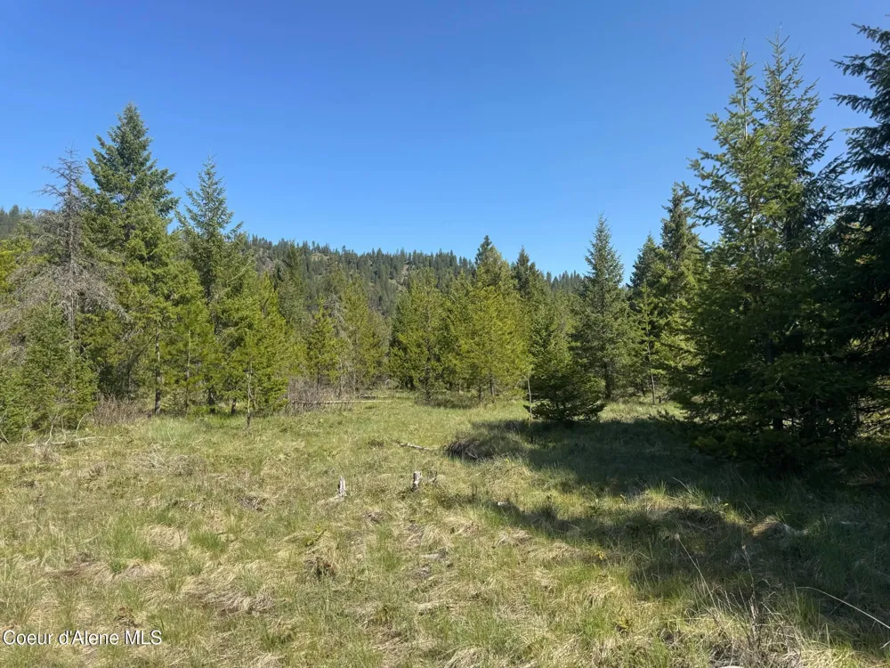 NNA Backroads Way Lot 3 Priest River, ID 83856