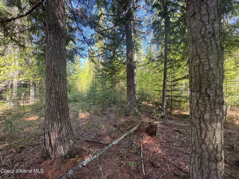 NNA Backroads Way Lot 3 Priest River, ID 83856
