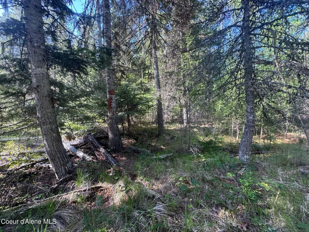 NNA Backroads Way Lot 3 Priest River, ID 83856