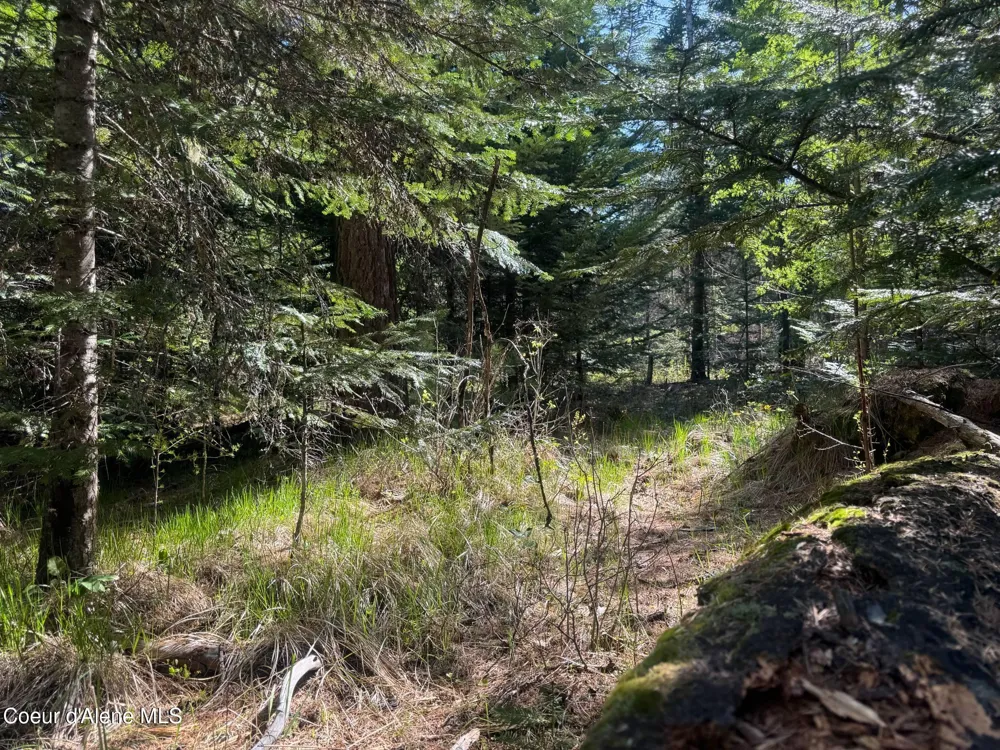 NNA Backroads Way Lot 3 Priest River, ID 83856