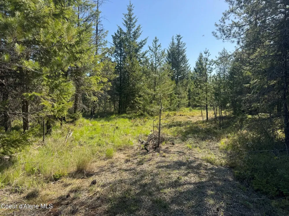 NKA Backroads Way Lot 2 Priest River, ID 83856