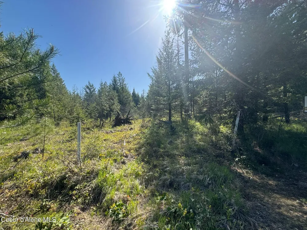 NKA Backroads Way Lot 2 Priest River, ID 83856