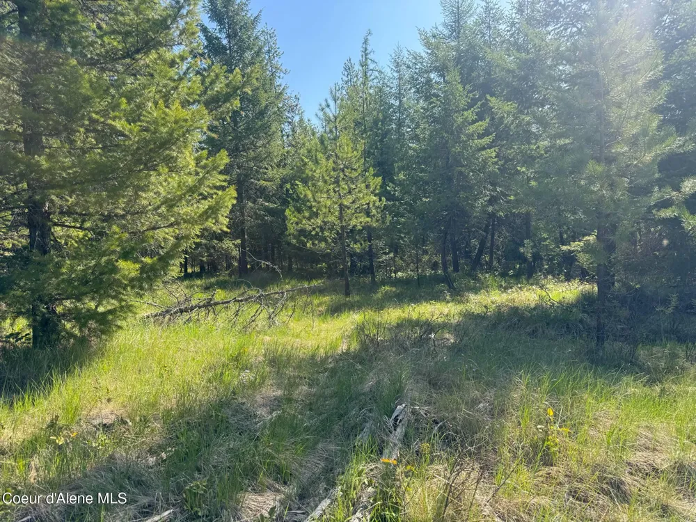 NKA Backroads Way Lot 2 Priest River, ID 83856