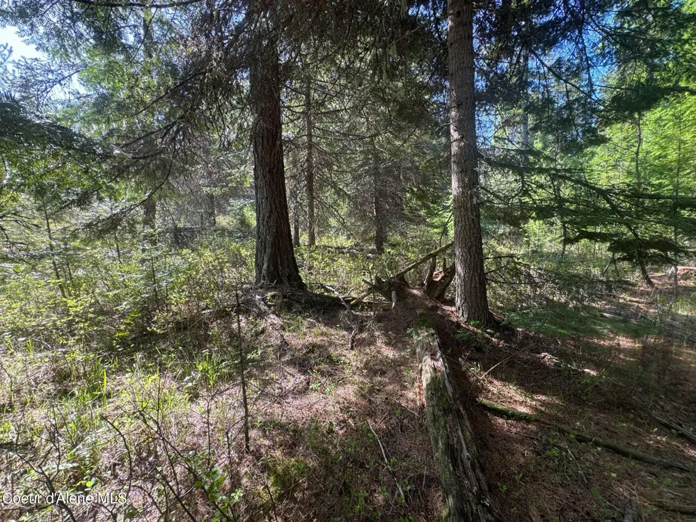 NKA Backroads Way Lot 2 Priest River, ID 83856