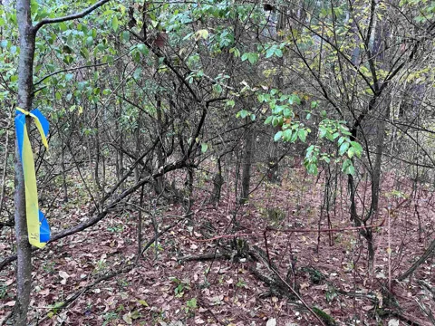 35 Wilber Road