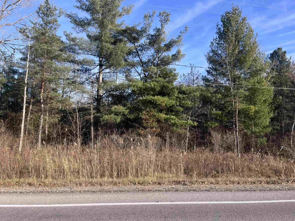 35 Wilber Road Baldwin Township, MI 48763