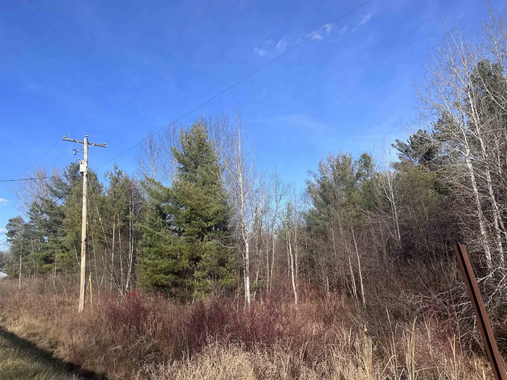 35 Wilber Road Baldwin Township, MI 48763