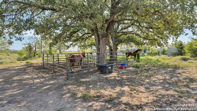 475 JACKSON RD Kingsbury, TX 78638
