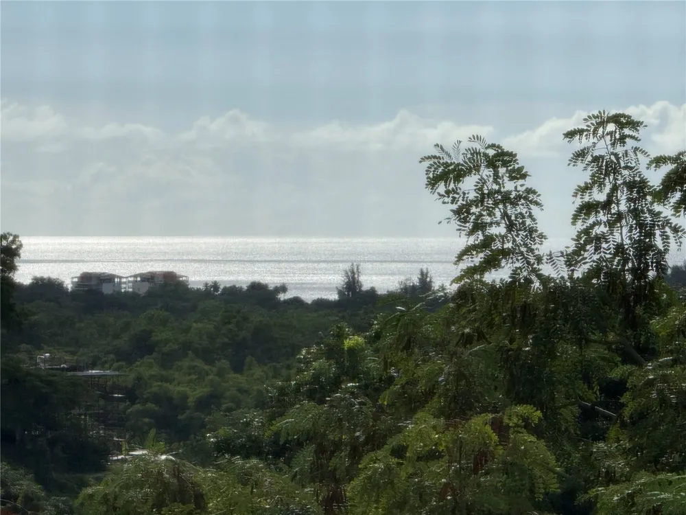 Carr 411 km 0.20 BO. CALVACHE Rincon, PR 00677