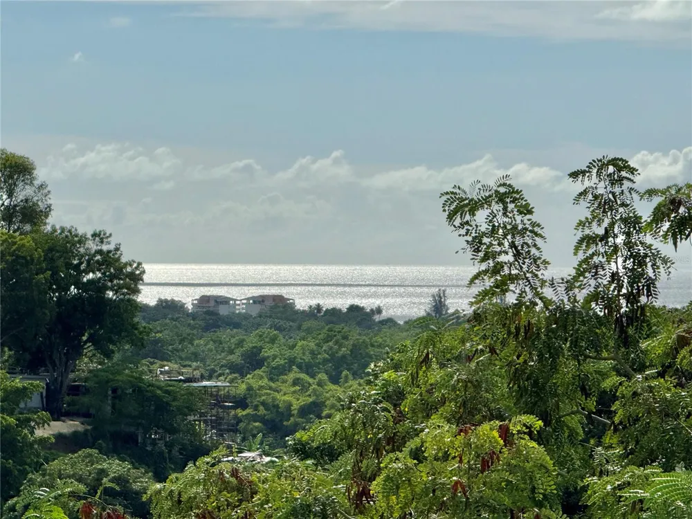 Carr 411 km 0.20 BO. CALVACHE Rincon, PR 00677
