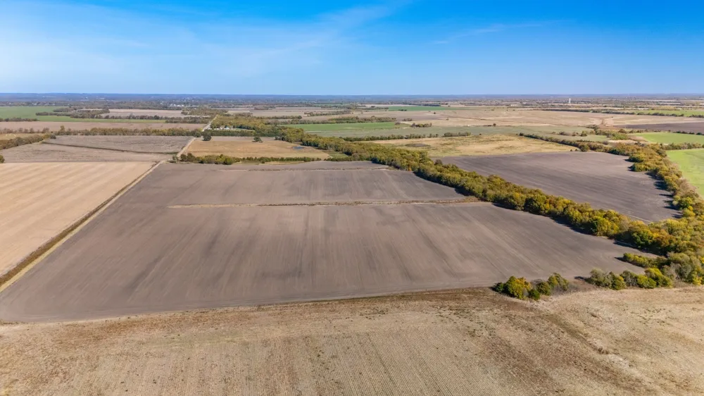 CR 3140 Pecan Gap, TX 75469