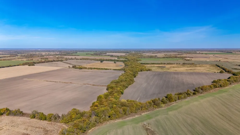 CR 3140 Pecan Gap, TX 75469