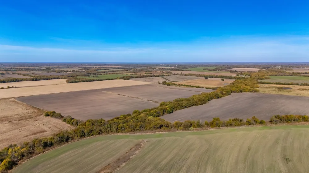CR 3140 Pecan Gap, TX 75469