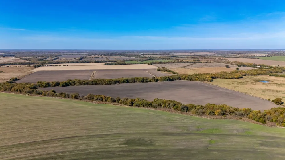 CR 3140 Pecan Gap, TX 75469
