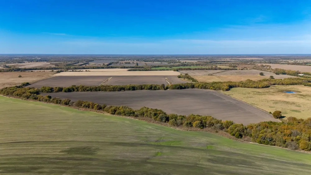 CR 3140 Pecan Gap, TX 75469