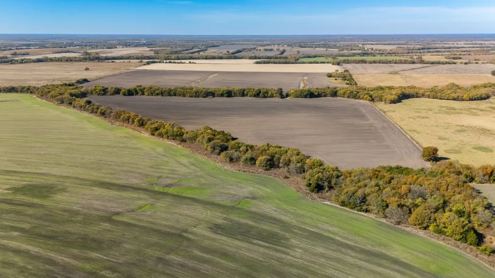 CR 3140 Pecan Gap, TX 75469