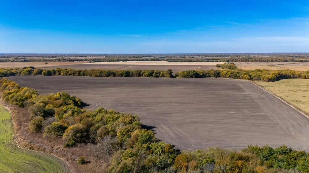 CR 3140 Pecan Gap, TX 75469