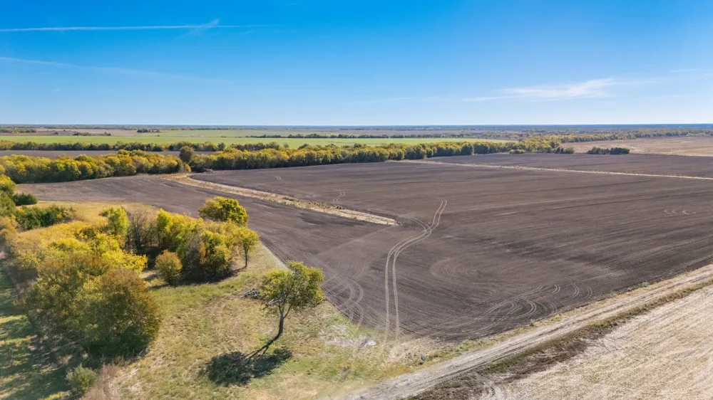 CR 3140 Pecan Gap, TX 75469