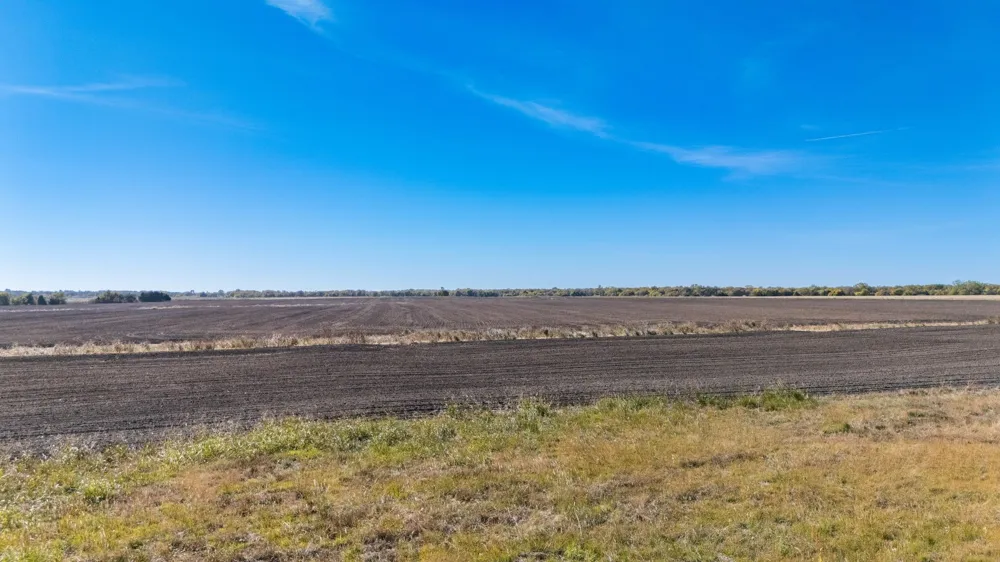 CR 3140 Pecan Gap, TX 75469