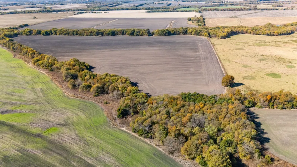 CR 3140 Pecan Gap, TX 75469